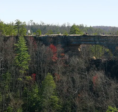 Natural Bridge State Resort Park